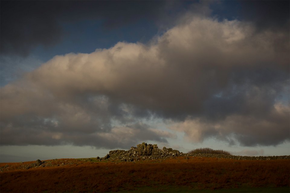 hare tor